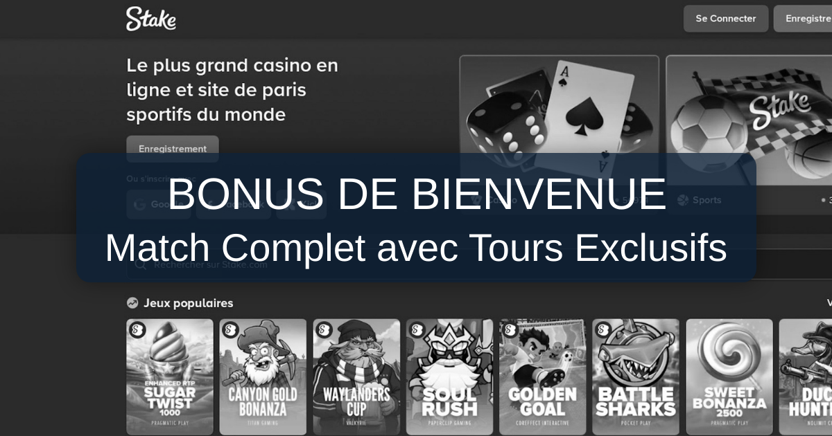 Stake Casino France